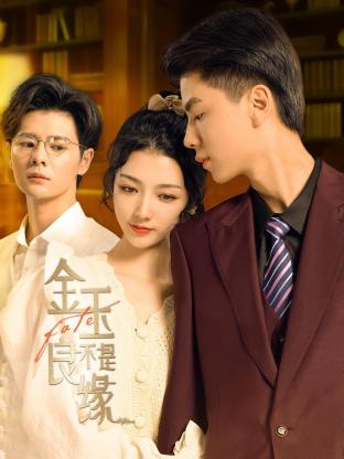 金玉不是良缘 第02集