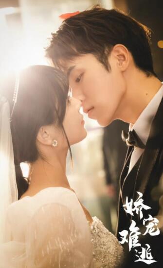 娇妻难逃 41-60集