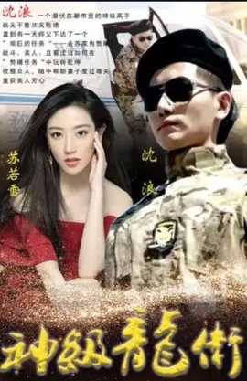 神级龙卫 41-60集