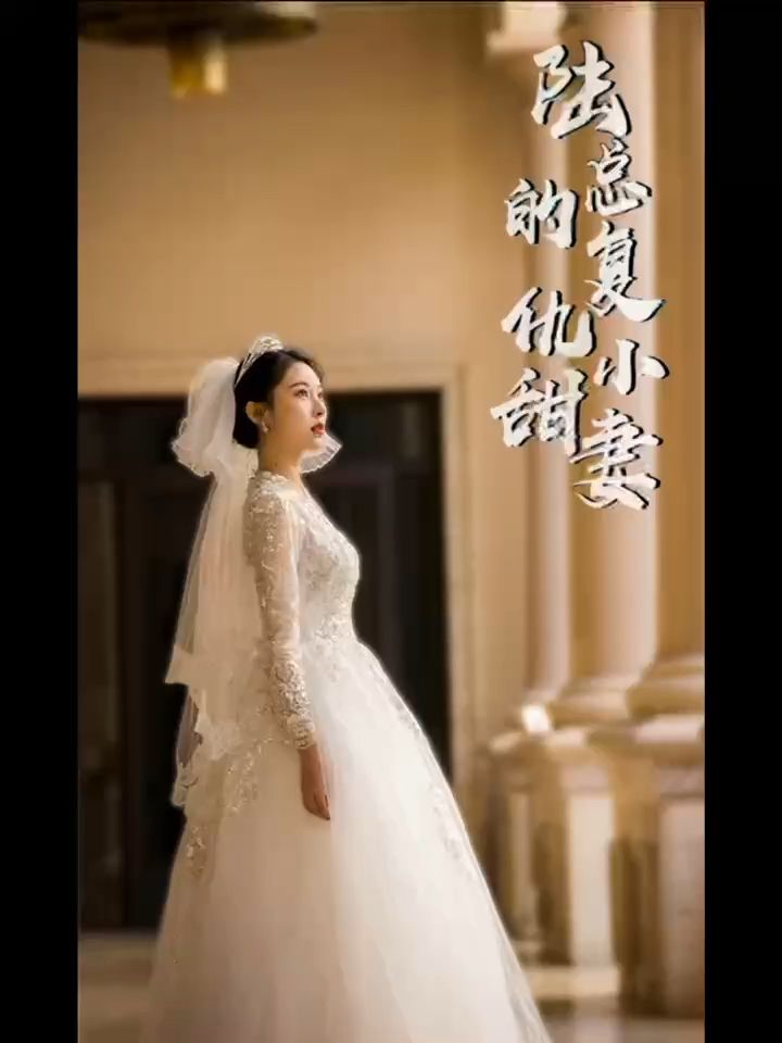 陆总的复仇小甜妻 41-60集