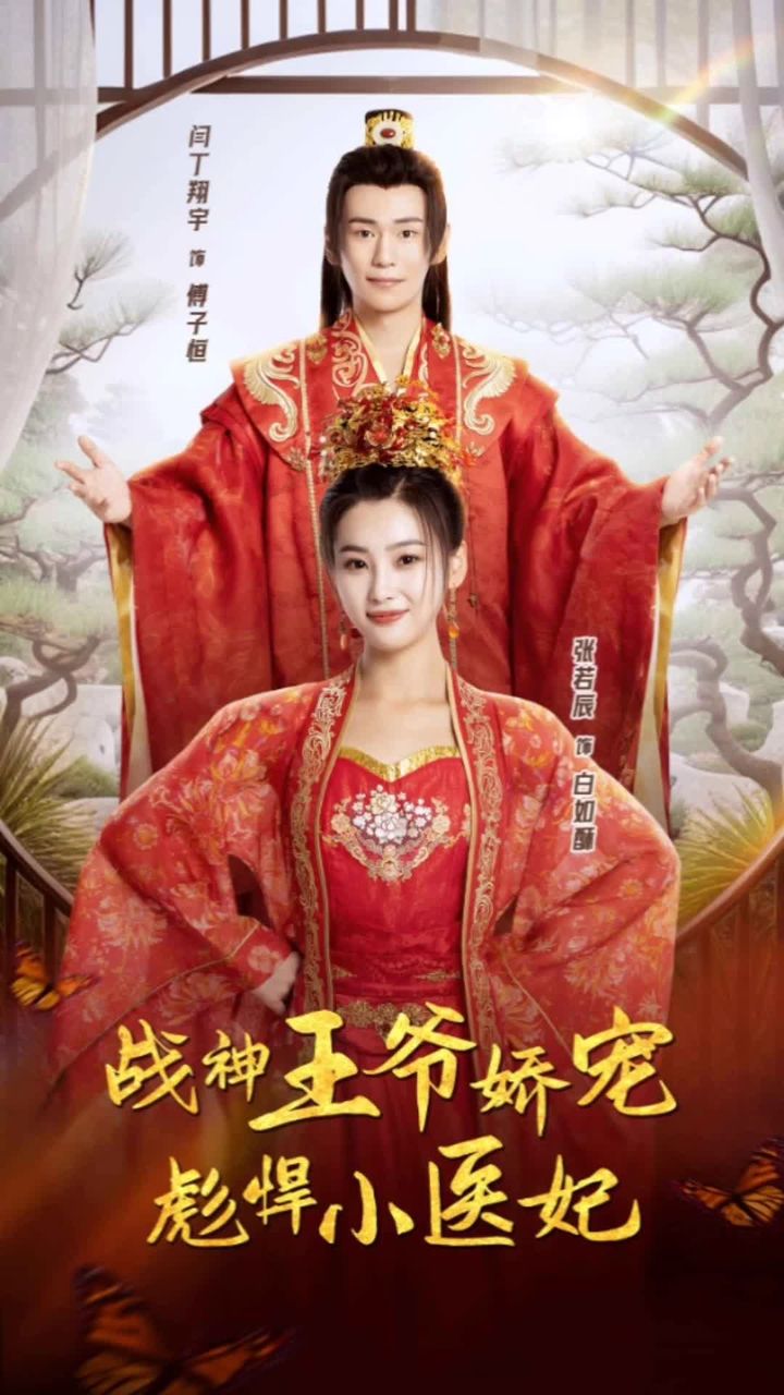 战神王爷娇宠彪悍小医妃 21-40集