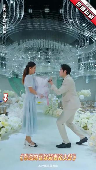 黎总的替嫁娇妻路太野 51-70集