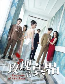玫瑰的真相 全集(大结局)