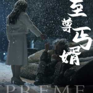 至尊丐婿 全集(大结局)