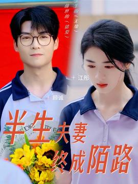 半生夫妻终成陌路 全集(大结局)