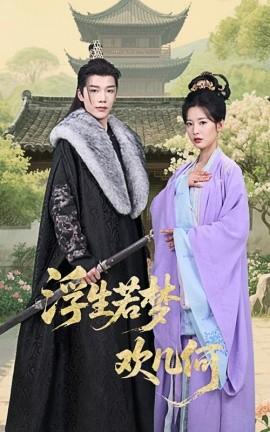 浮生若梦欢几何(全集)