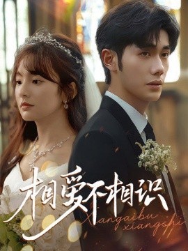 相爱不相识(全集)