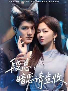 段总，暗恋请查收(全集)