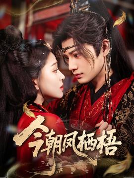 今朝凤栖梧(全集)