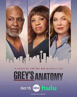 实习医生格蕾第二十三季